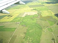 Entwsserte Felder, die z. T. wie Hhenlinien aussehen