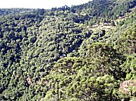 was gegenber des Falles so los ist, schien mir auch interessant