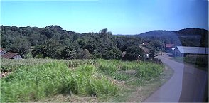 Gut zu erkennen ist der Mais im zweiten Feld, der Maniok vorn ist unscharf