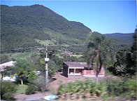 Eigentlich wollte ich Araukarienwlder fotografieren, waren aber keine da!