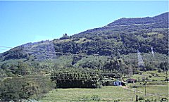 Einfaches Bauernhaus vor Bananenplantage